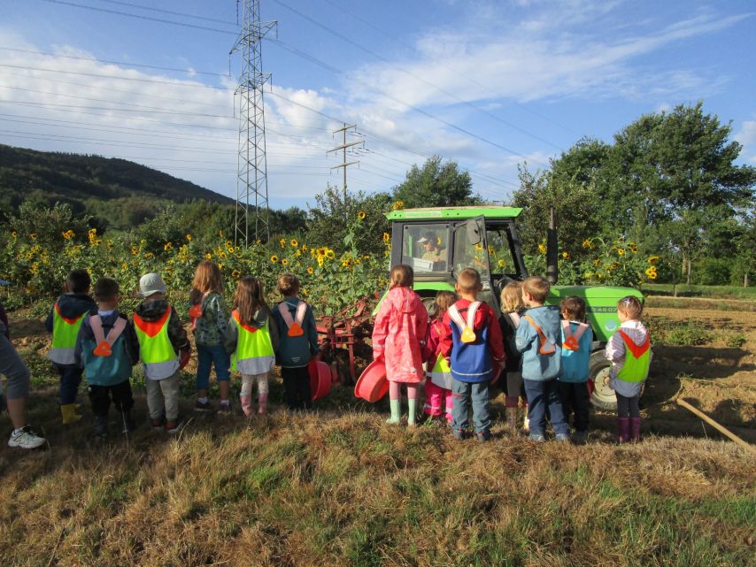 Schule auf dem Bauernhof
