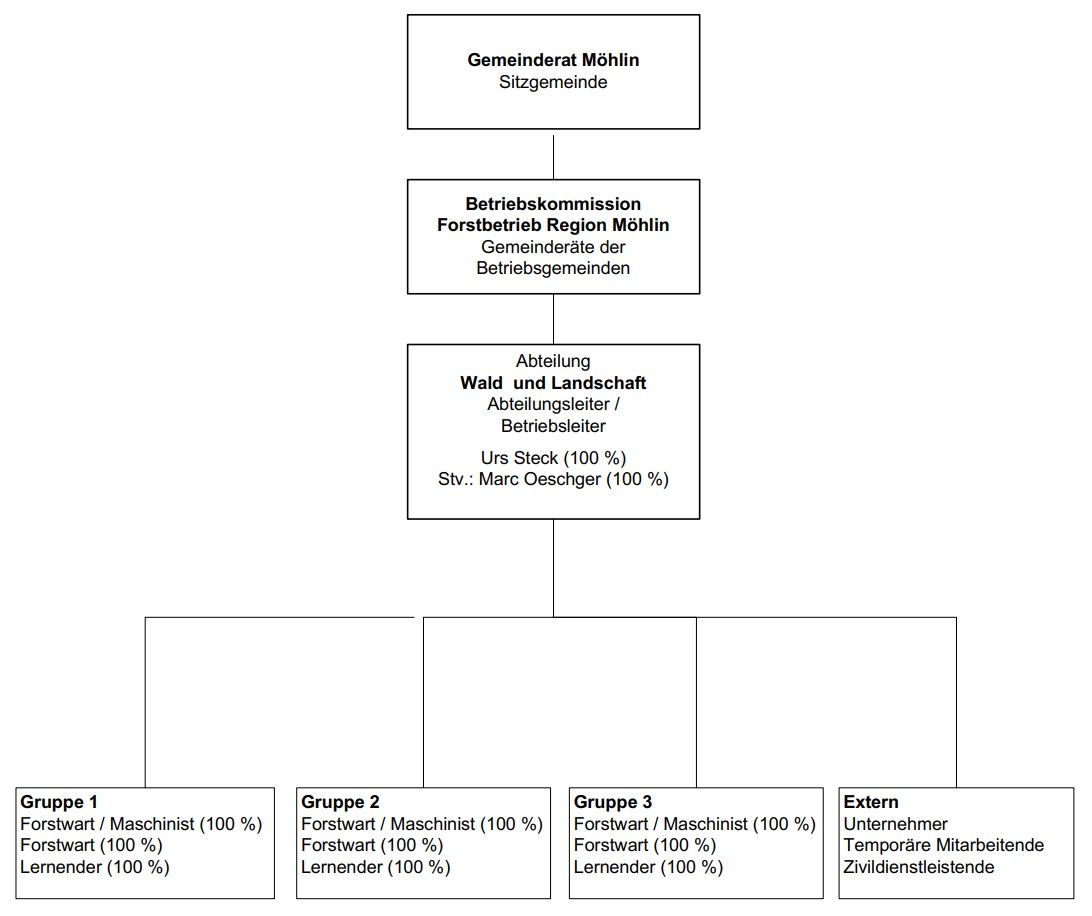 Organigramm Forstbetrieb Region Möhlin