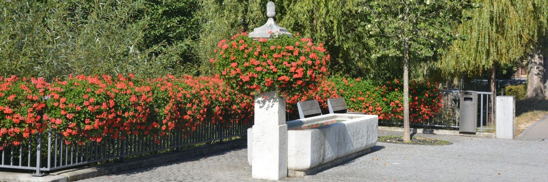 Blumenschmuck Dorfbrunnen