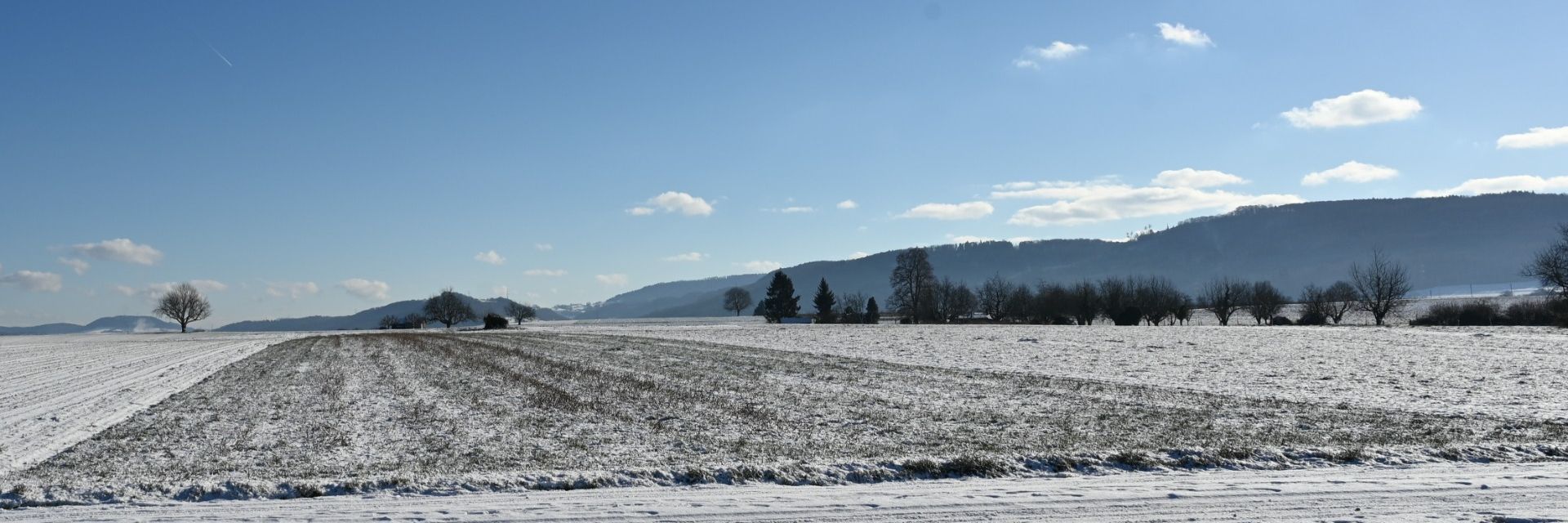 Feld Winter